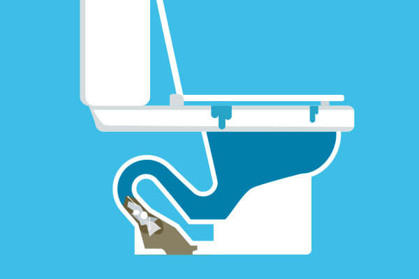 Unblocking a toilet in Cobham