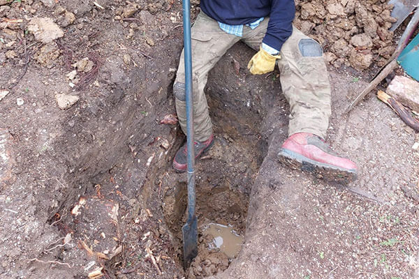 Drain Repairs and Root cutting in Surrey